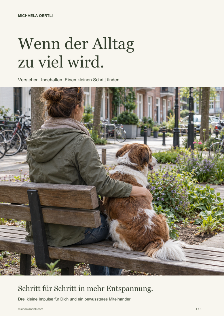 Wenn der Alltag zu viel wird – Schritt für Schritt in mehr Entspannung. Kleine Pause mit Hund auf einer Bank im Stadtquartier.